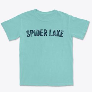 Spider Lake Wisconsin Timeless Retro Premium Heavyweight T-shirt