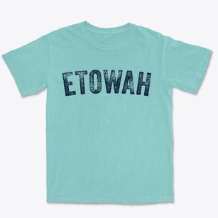 Etowah Oklahoma Timeless Retro Premium Heavyweight T-shirt