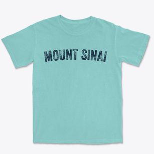 Mount Sinai New York Timeless Retro Premium Heavyweight T-shirt