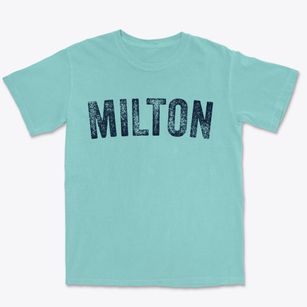 Milton Vermont Timeless Retro Premium Heavyweight T-shirt