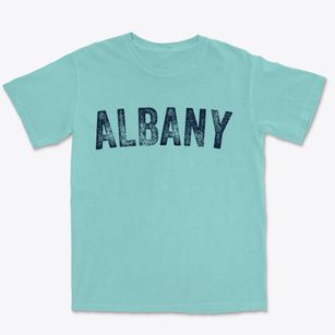 Albany Georgia Timeless Retro Premium Heavyweight T-shirt