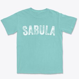 Sabula Iowa Timeless Retro Premium Heavyweight T-shirt
