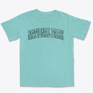 National Park New Jersey Trendy Block Premium Heavyweight T-shirt