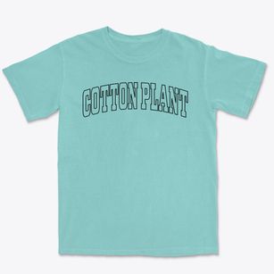 Cotton Plant Arkansas Trendy Block Premium Heavyweight T-shirt