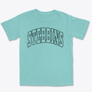 Stebbins Alaska Trendy Block Premium Heavyweight T-shirt