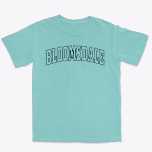 Bloomsdale Missouri Trendy Block Premium Heavyweight T-shirt