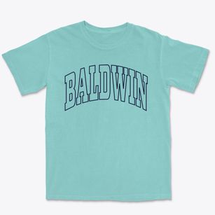 Baldwin Florida Trendy Block Premium Heavyweight T-shirt