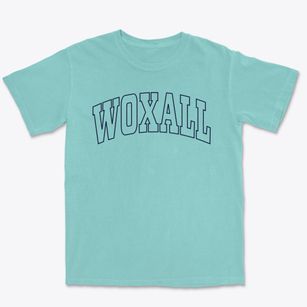 Woxall Pennsylvania Trendy Block Premium Heavyweight T-shirt