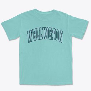 Wellington Colorado Trendy Block Premium Heavyweight T-shirt