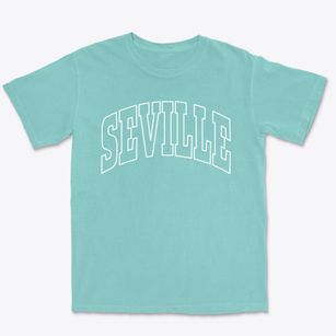 Seville Ohio Trendy Block Premium Heavyweight T-shirt