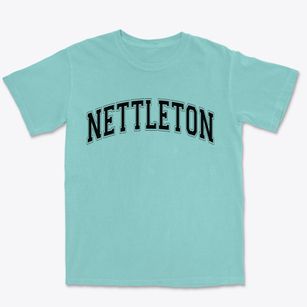 Nettleton Mississippi Varsity Premium Heavyweight T-shirt