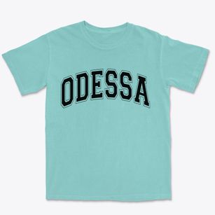 Odessa Washington Varsity Premium Heavyweight T-shirt