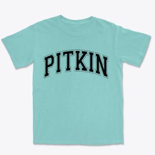 Pitkin Louisiana Varsity Premium Heavyweight T-shirt