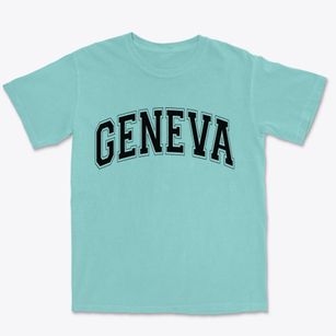 Geneva Pennsylvania Varsity Premium Heavyweight T-shirt