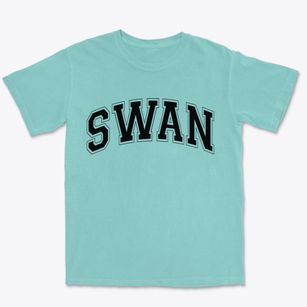 Swan Iowa Varsity Premium Heavyweight T-shirt
