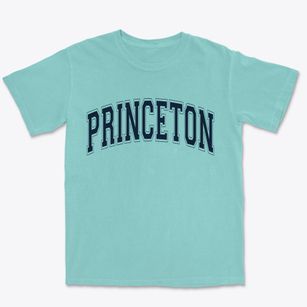 Princeton Wisconsin Varsity Premium Heavyweight T-shirt
