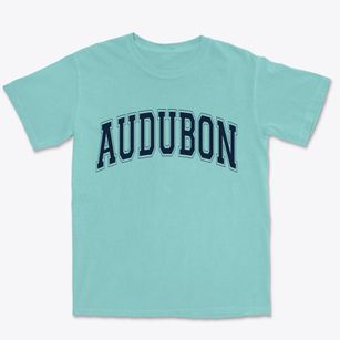 Audubon New Jersey Varsity Premium Heavyweight T-shirt