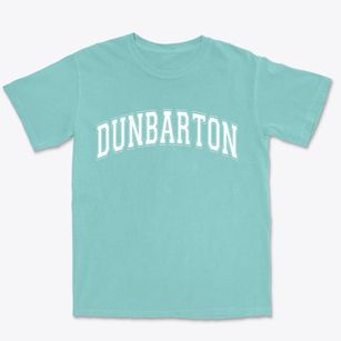 Dunbarton New Hampshire Varsity Premium Heavyweight T-shirt