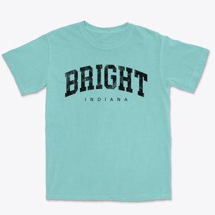 Bright Indiana Urban Vibe Premium Heavyweight T-shirt