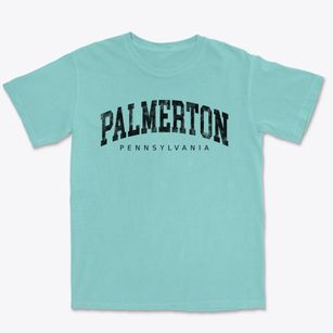 Palmerton Pennsylvania Urban Vibe Premium Heavyweight T-shirt