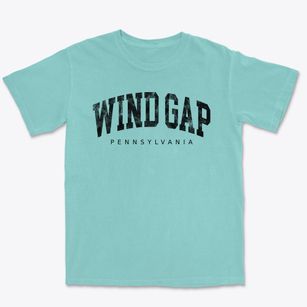 Wind Gap Pennsylvania Urban Vibe Premium Heavyweight T-shirt