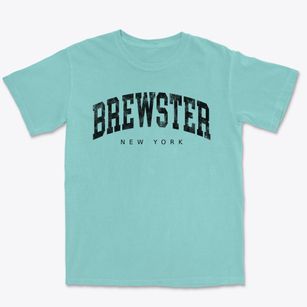 Brewster New York Urban Vibe Premium Heavyweight T-shirt