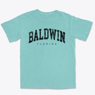 Baldwin Florida Urban Vibe Premium Heavyweight T-shirt