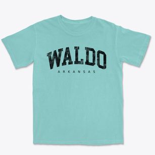 Waldo Arkansas Urban Vibe Premium Heavyweight T-shirt
