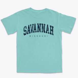 Savannah Missouri Urban Vibe Premium Heavyweight T-shirt