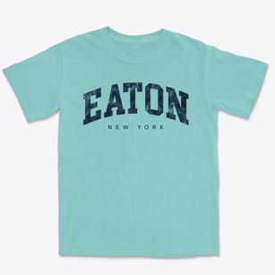 Eaton New York Urban Vibe Premium Heavyweight T-shirt