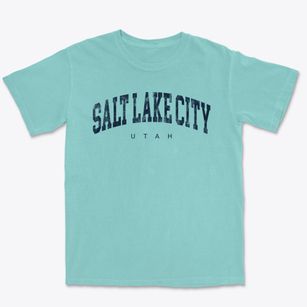 Salt Lake City Utah Urban Vibe Premium Heavyweight T-shirt