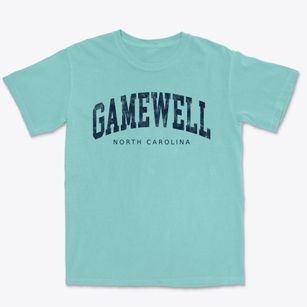 Gamewell North Carolina Urban Vibe Premium Heavyweight T-shirt