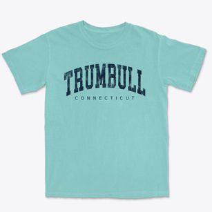 Trumbull Connecticut Urban Vibe Premium Heavyweight T-shirt