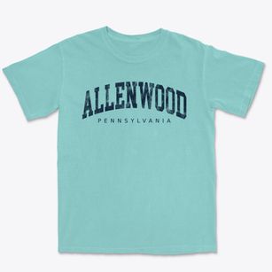Allenwood Pennsylvania Urban Vibe Premium Heavyweight T-shirt