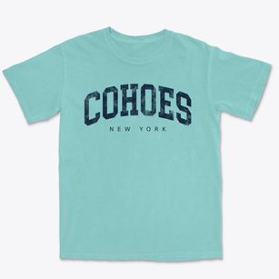 Cohoes New York Urban Vibe Premium Heavyweight T-shirt