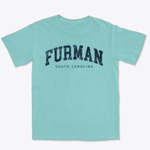 Furman South Carolina Urban Vibe Premium Heavyweight T-shirt