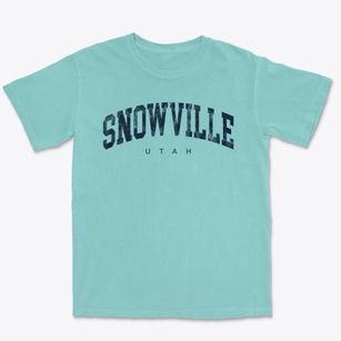 Snowville Utah Urban Vibe Premium Heavyweight T-shirt