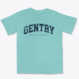 Gentry Missouri Urban Vibe Premium Heavyweight T-shirt