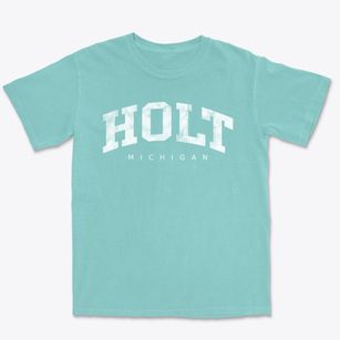 Holt Michigan Urban Vibe Premium Heavyweight T-shirt