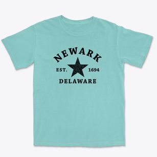 Newark Delaware Star Premium Heavyweight T-shirt