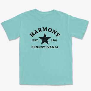 Harmony Pennsylvania Star Premium Heavyweight T-shirt
