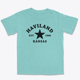 Haviland Kansas Star Premium Heavyweight T-shirt