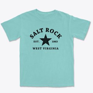 Salt Rock West Virginia Star Premium Heavyweight T-shirt