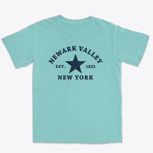 Newark Valley New York Star Premium Heavyweight T-shirt