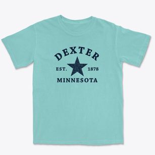 Dexter Minnesota Star Premium Heavyweight T-shirt