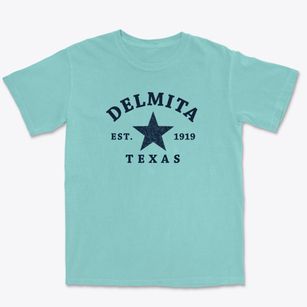Delmita Texas Star Premium Heavyweight T-shirt