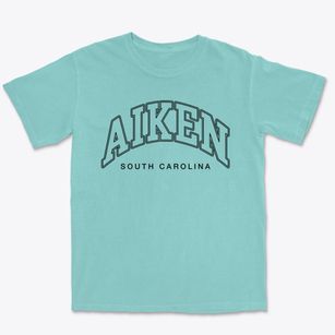 Aiken South Carolina Inline Premium Heavyweight T-shirt