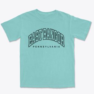 East Bangor Pennsylvania Inline Premium Heavyweight T-shirt