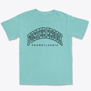 Foster Brook Pennsylvania Inline Premium Heavyweight T-shirt