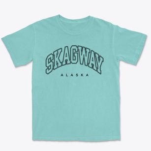 Skagway Alaska Inline Premium Heavyweight T-shirt
